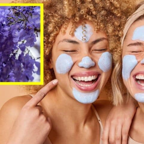 Mascarillas con flor de jacaranda