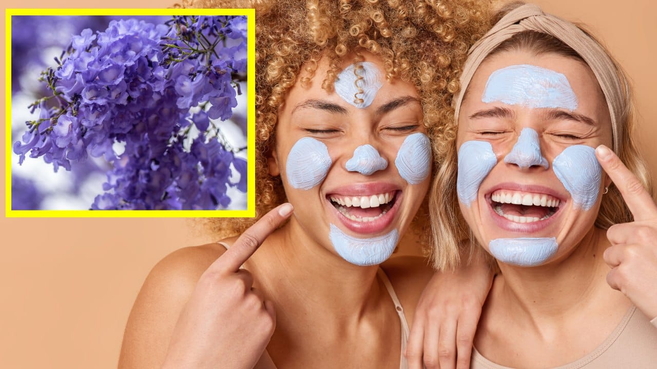 Mascarillas con flor de jacaranda