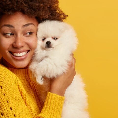 Razas de perros pequeños si vives en departamento