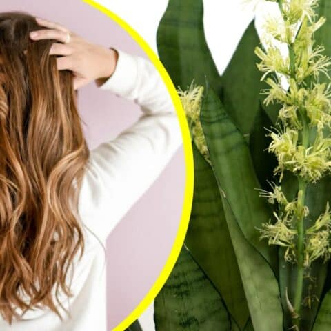 Tónico para hacer crecer el cabello