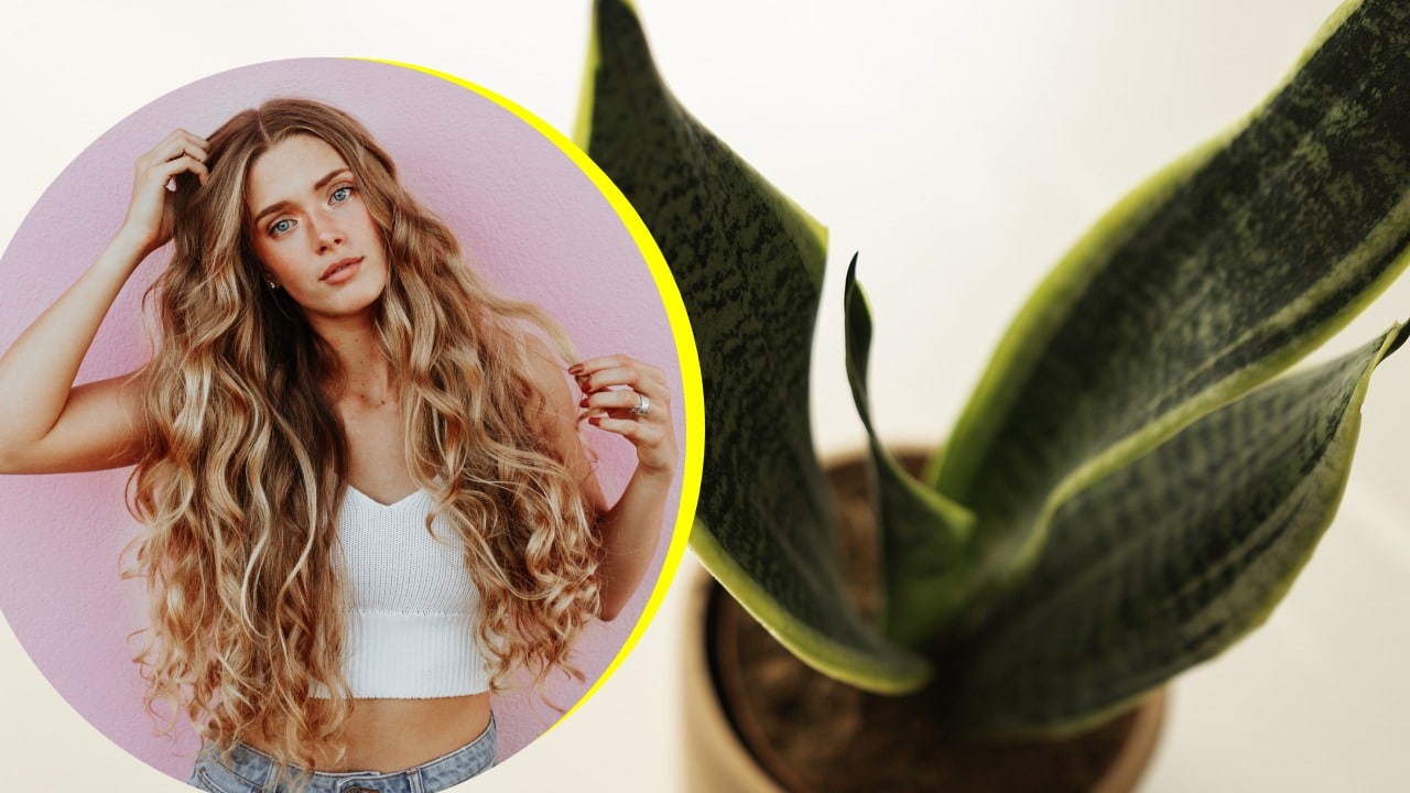 Tónico para hacer crecer el cabello