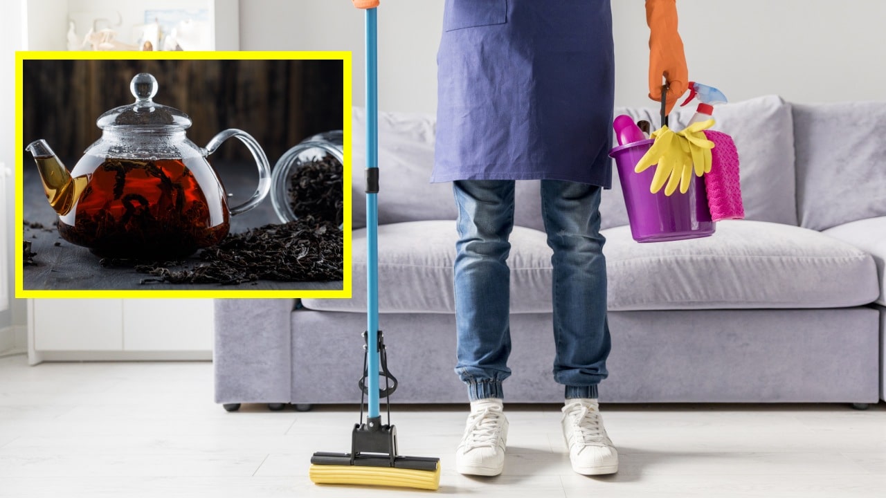 Truco con té negro para eliminar todo el polvo