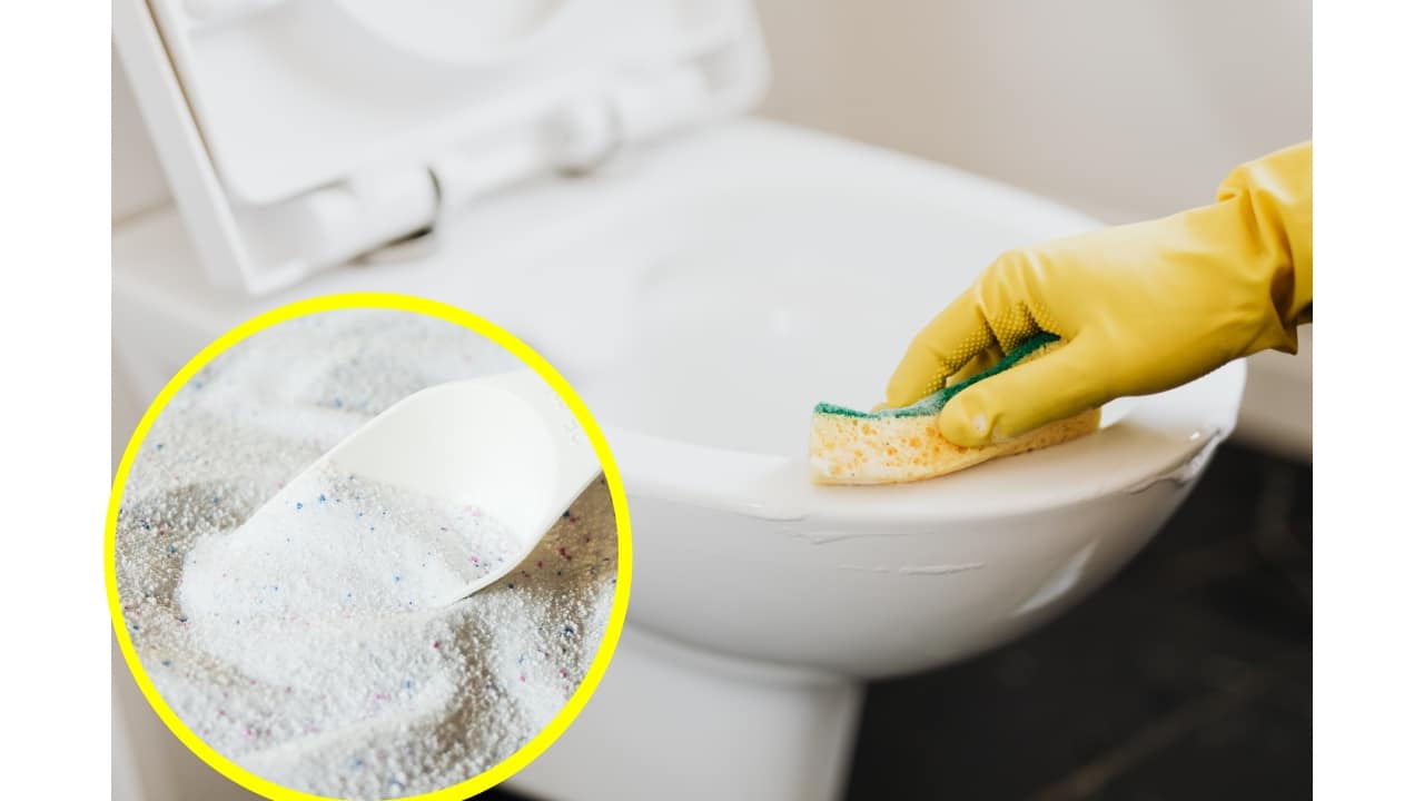 Lavar el inodoro con jabón en polvo