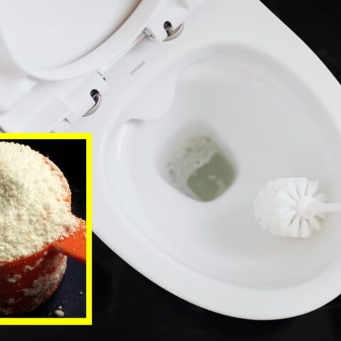 Lavar el inodoro con jabón en polvo