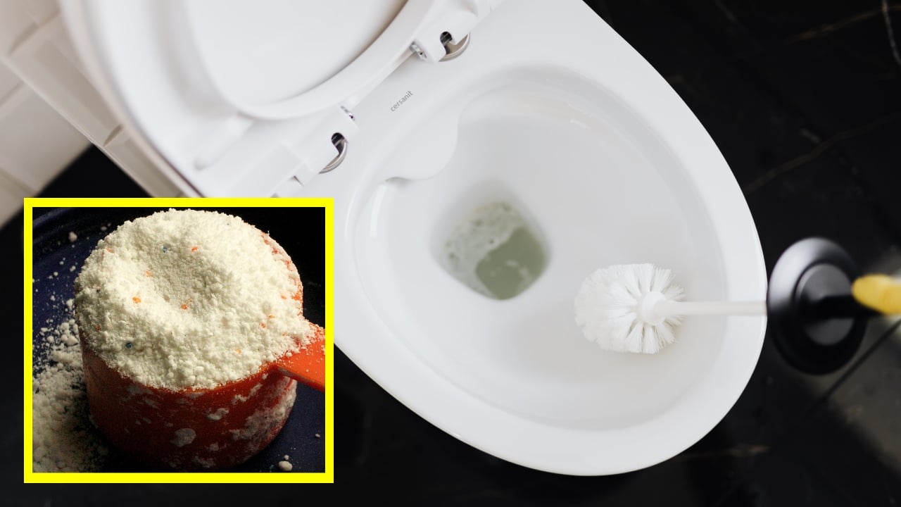 Lavar el inodoro con jabón en polvo