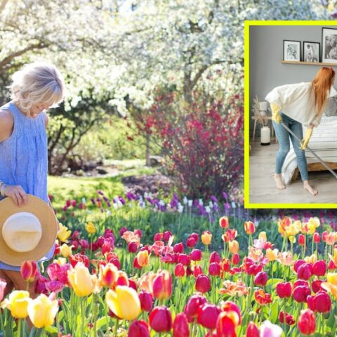 limpieza de primavera de tu casa