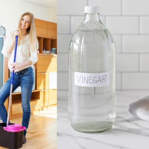 beneficios de trapear la casa con vinagre blanco