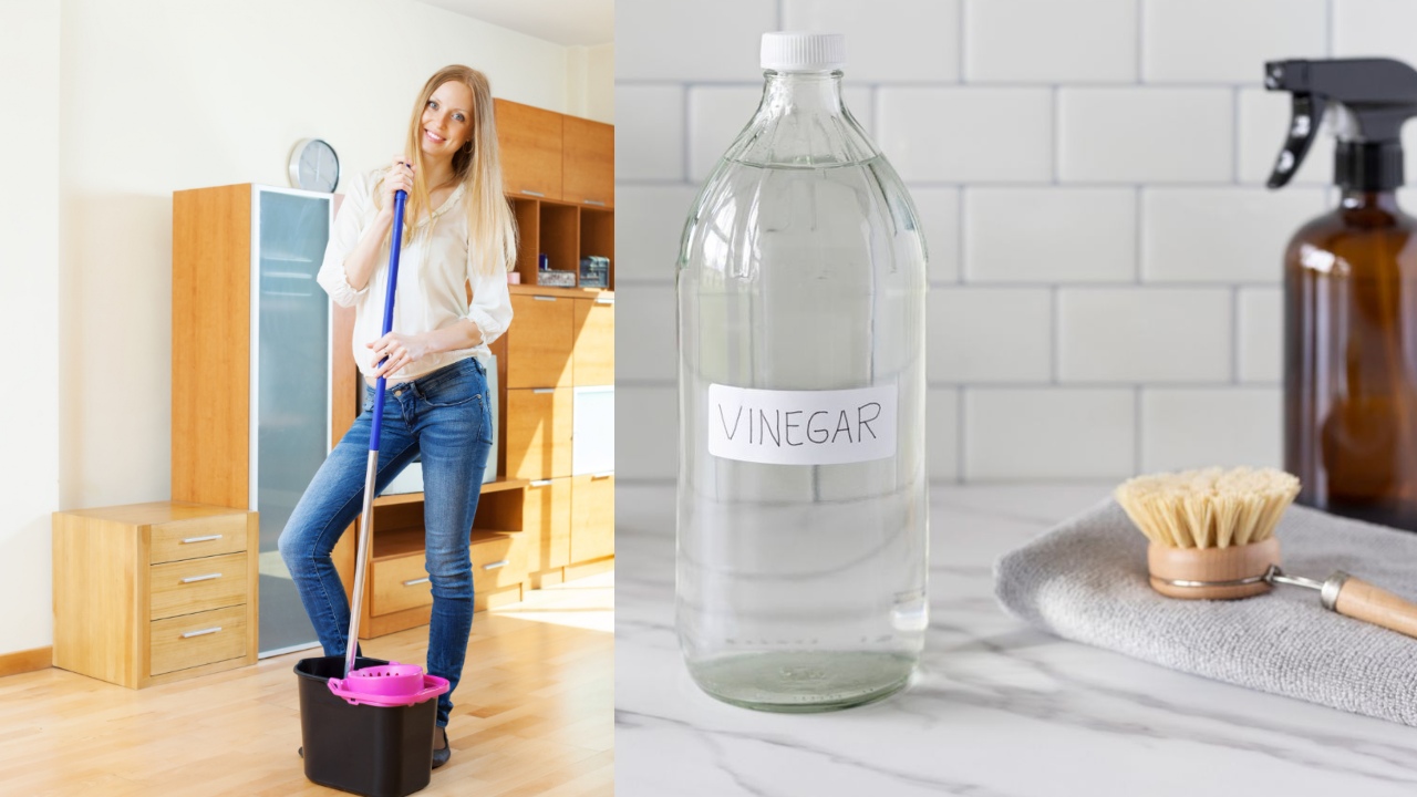 beneficios de trapear la casa con vinagre blanco
