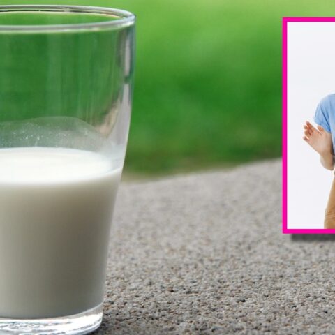 leche de vaca tiene pus y sangre