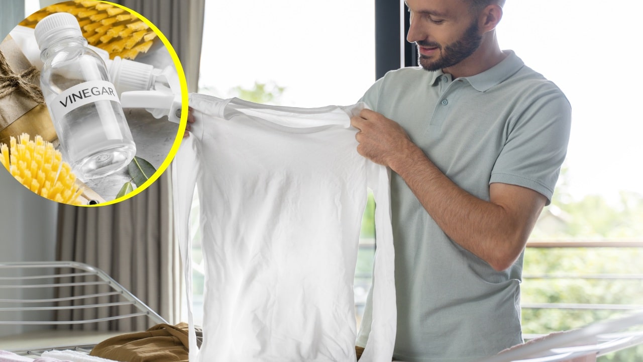 Vinagre para blanquear camisas