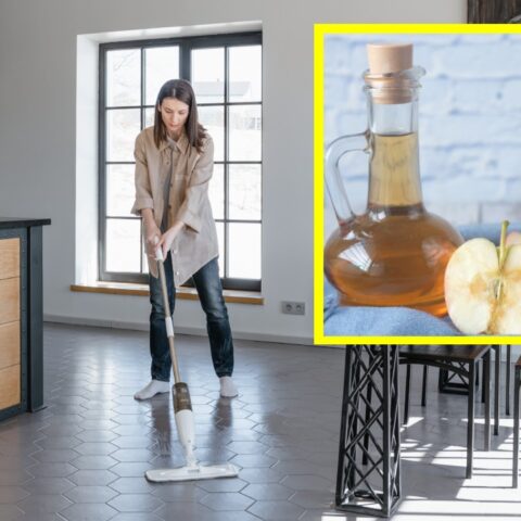 Beneficios de trapear la casa con vinagre de manzana