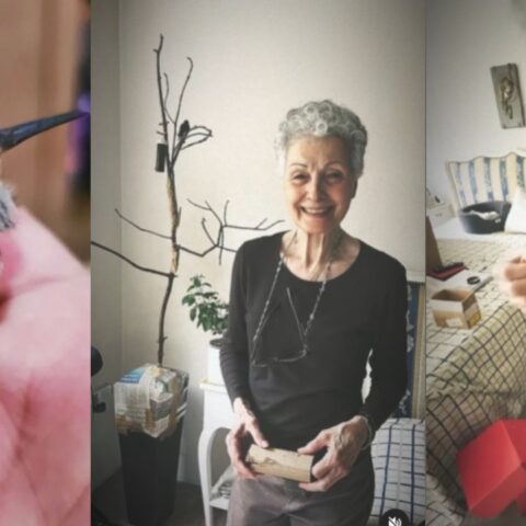 Catia, la rescatista de colibríes heridos y huérfanos