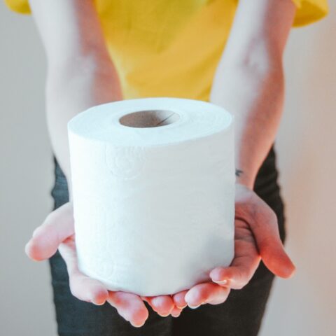 Sustituto del papel higiénico