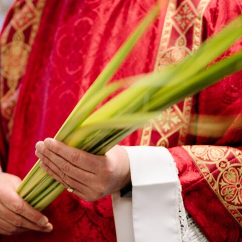 Dónde colocar las palmas del Domingo de Ramos