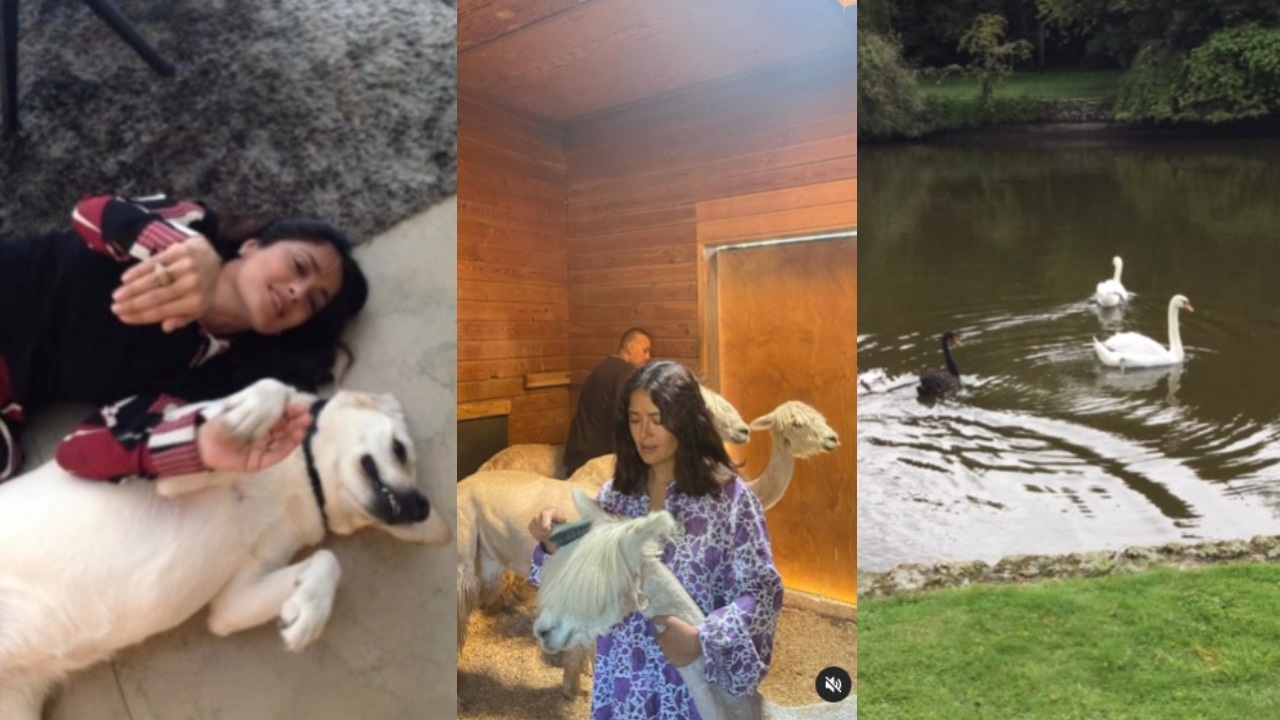 Salma Hayek tiene un zoológico de mascotas exóticas en casa