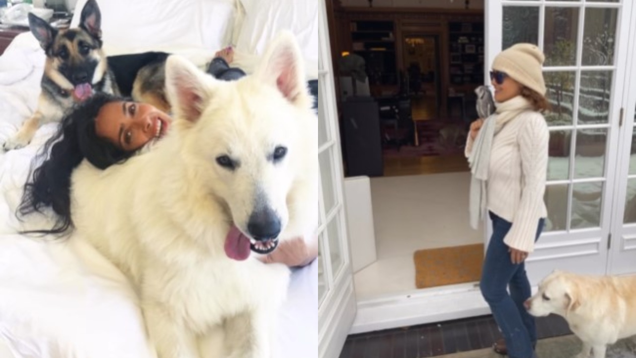 Salma Hayek tiene un zoológico de mascotas exóticas en casa