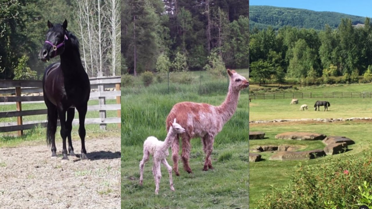 Salma Hayek tiene un zoológico de mascotas exóticas en casa