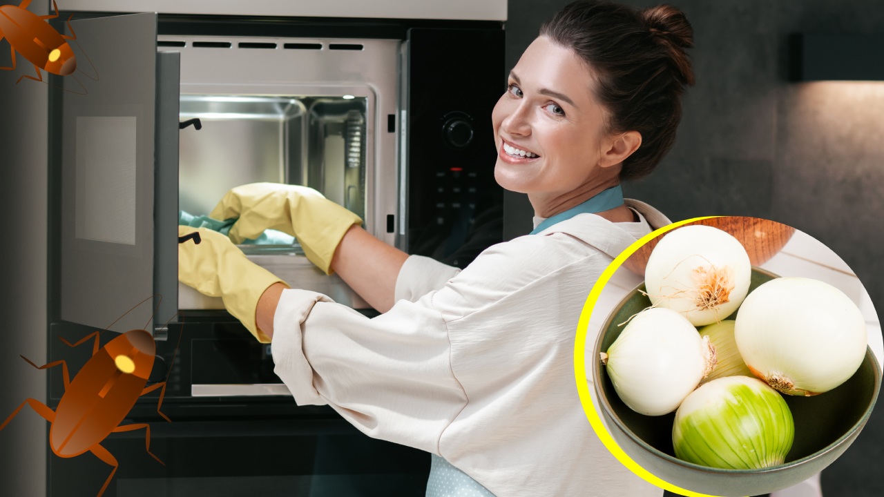 Pasta de cebolla para eliminar cucarachas