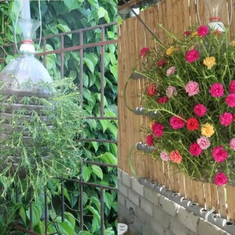 Cómo hacer un jardín colgante con botellas de plástico