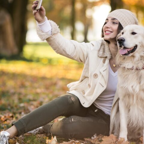 Razas de perros inteligentes y amorosos