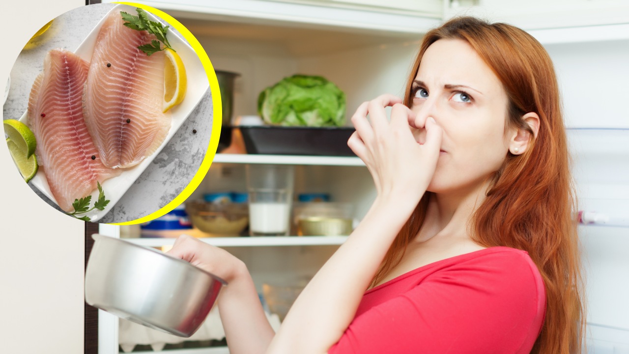 Remedios para eliminar el olor a pescado del refrigerador