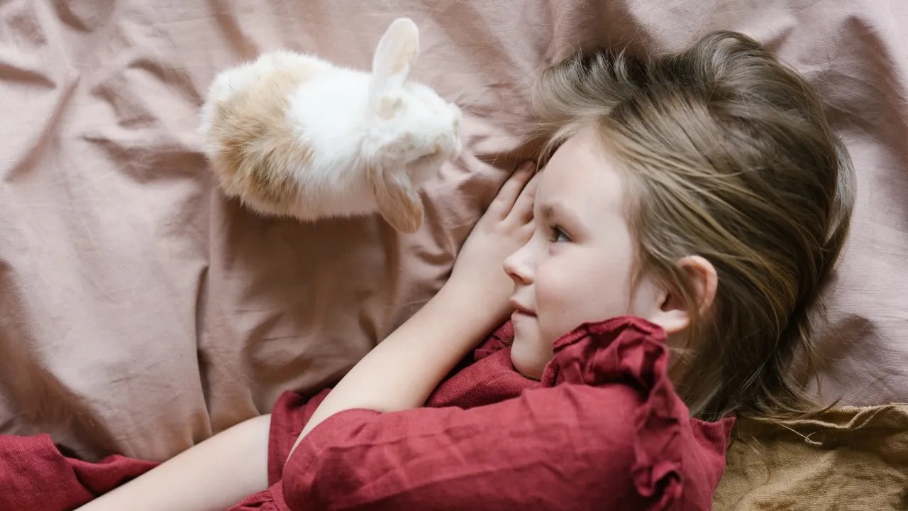 Conejos como mascotas para la familia