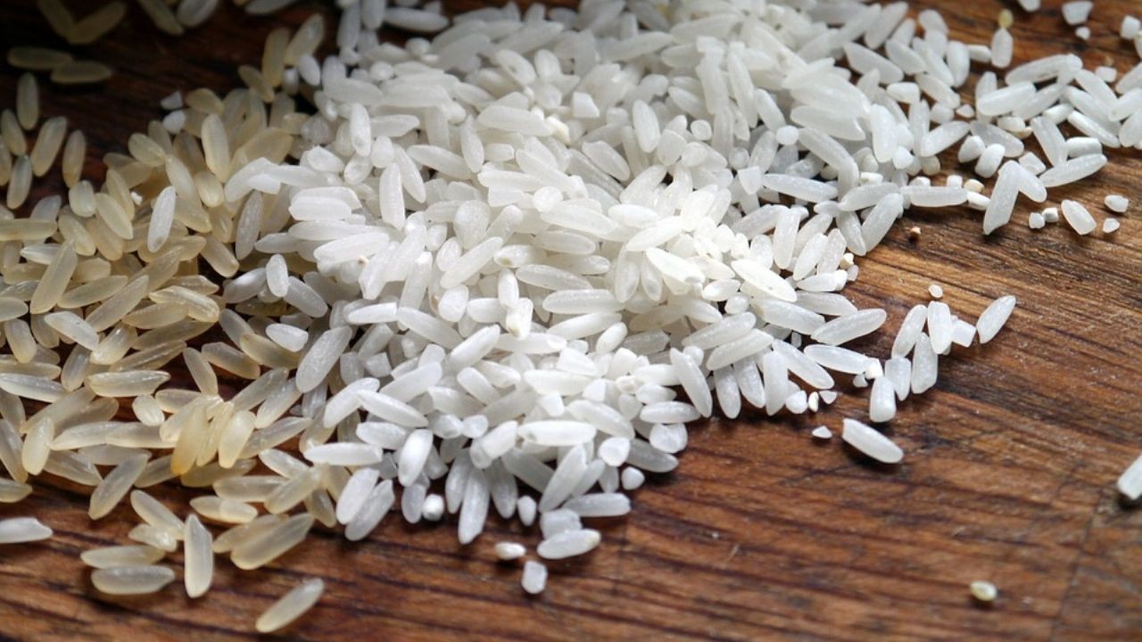 Identificar si es arroz real