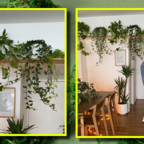 repisas altas para plantas