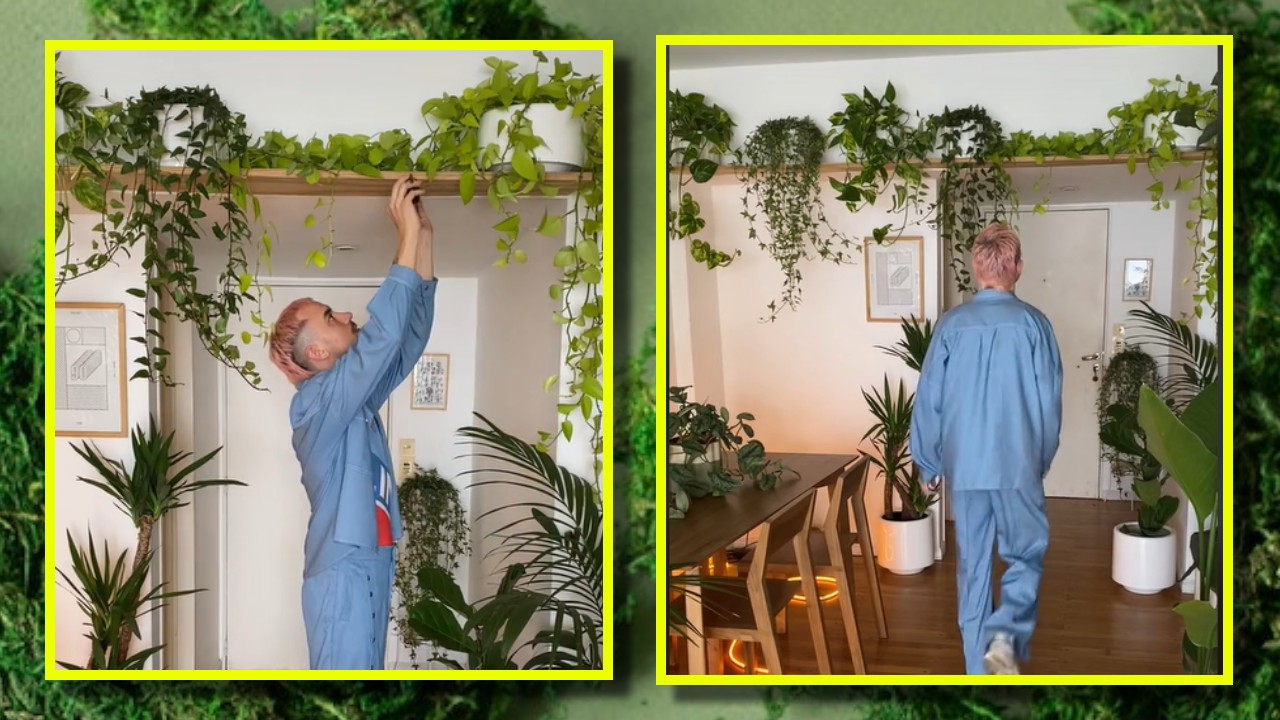 estante para tus macetas