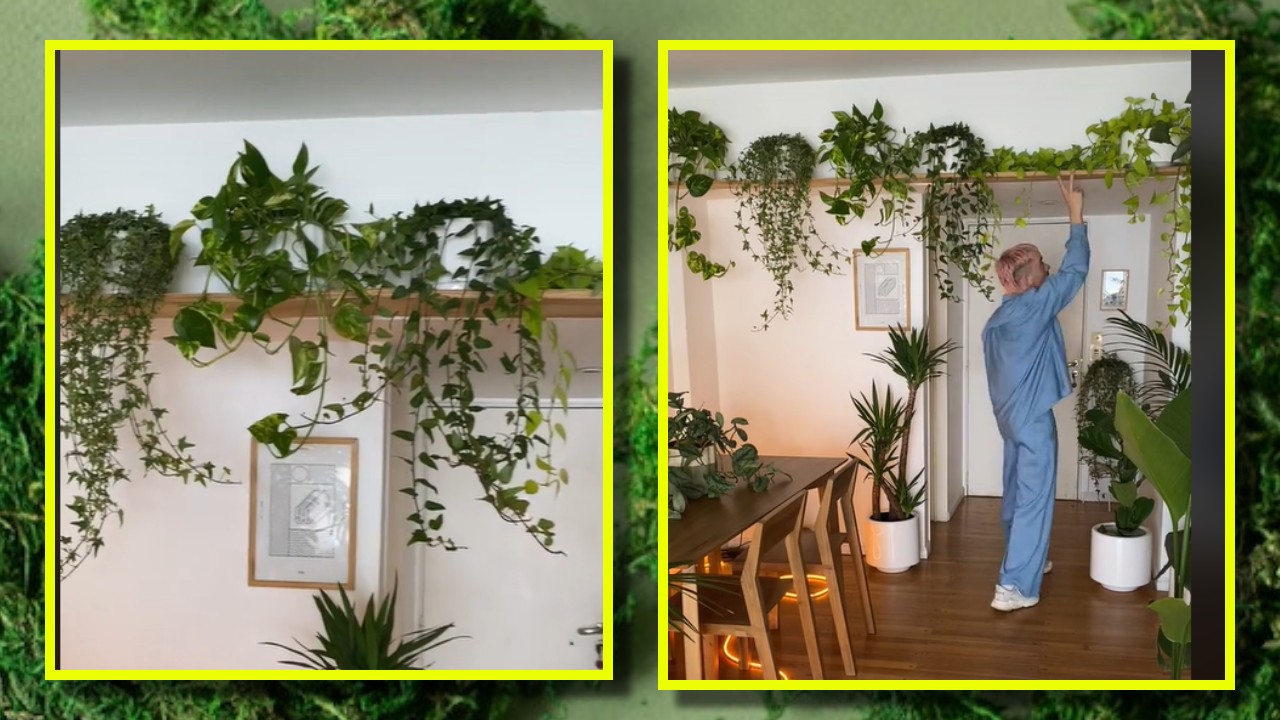 repisas altas para plantas