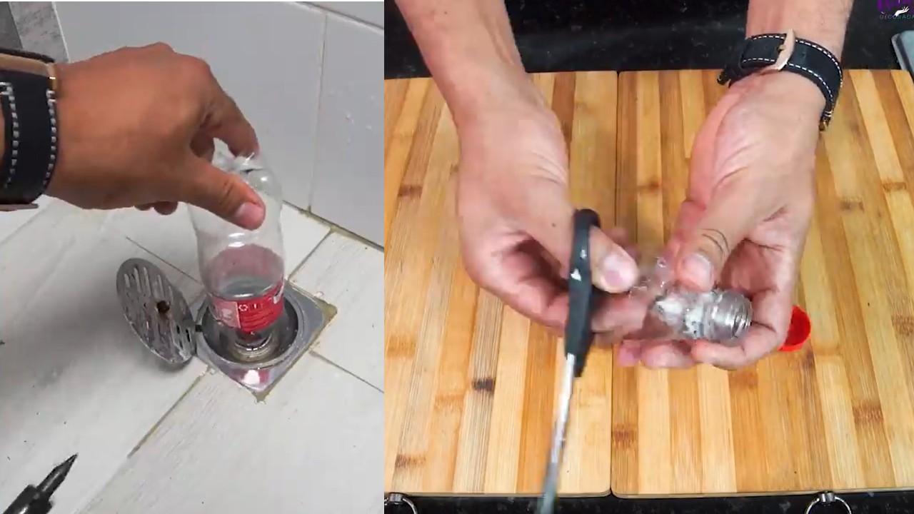 Hacer trampa casera de cucarachas