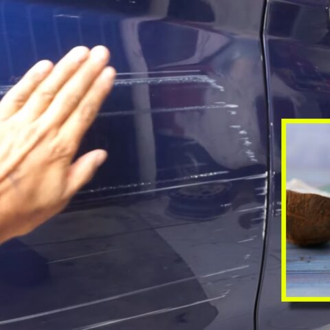 quitar rayones del auto con aceite de coco