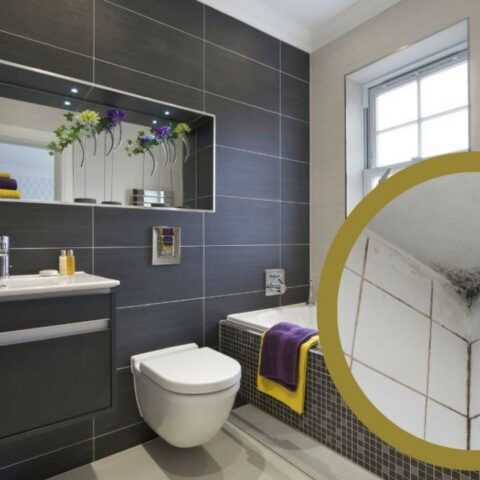 Eliminar humead techo de tu baño