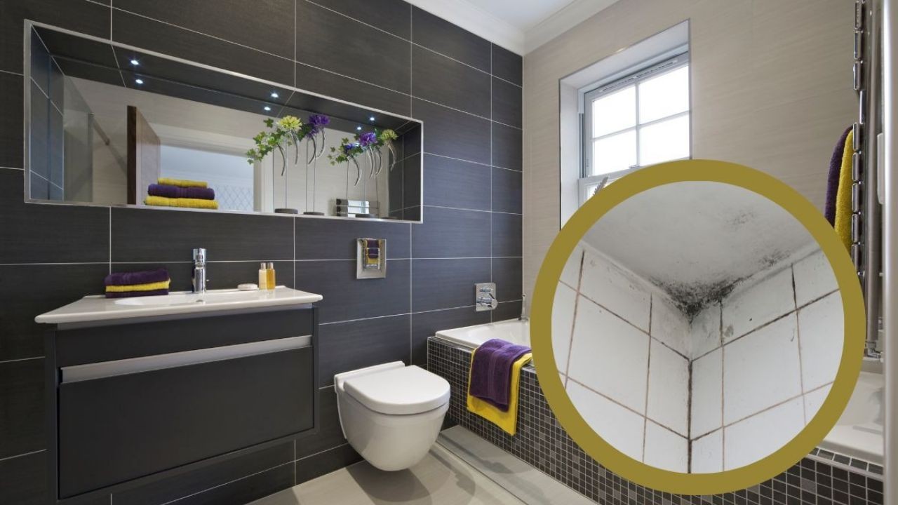 Eliminar humead techo de tu baño