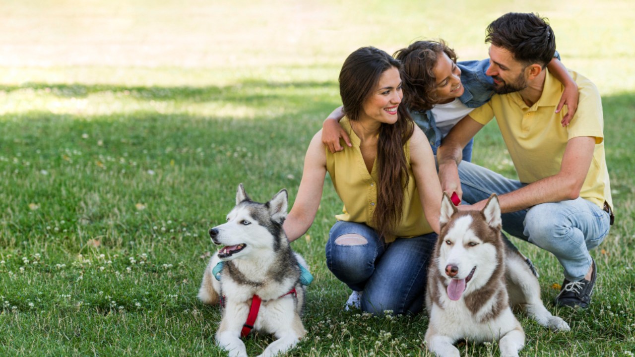 considerar a mascotas miembro de la familia