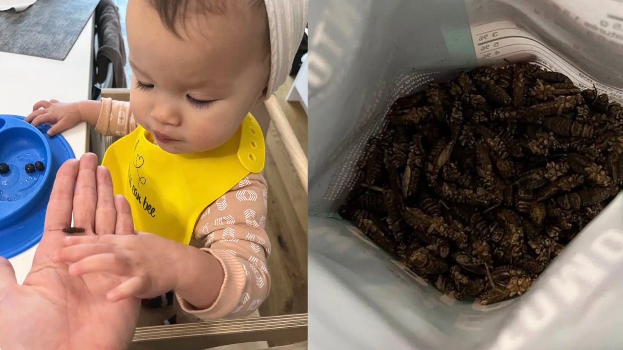 snacks de grillos para ahorrar dinero