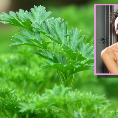 Mascarilla de perejil