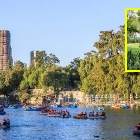 disfrutar de la CDMX vacía esta Semana Santa 2023