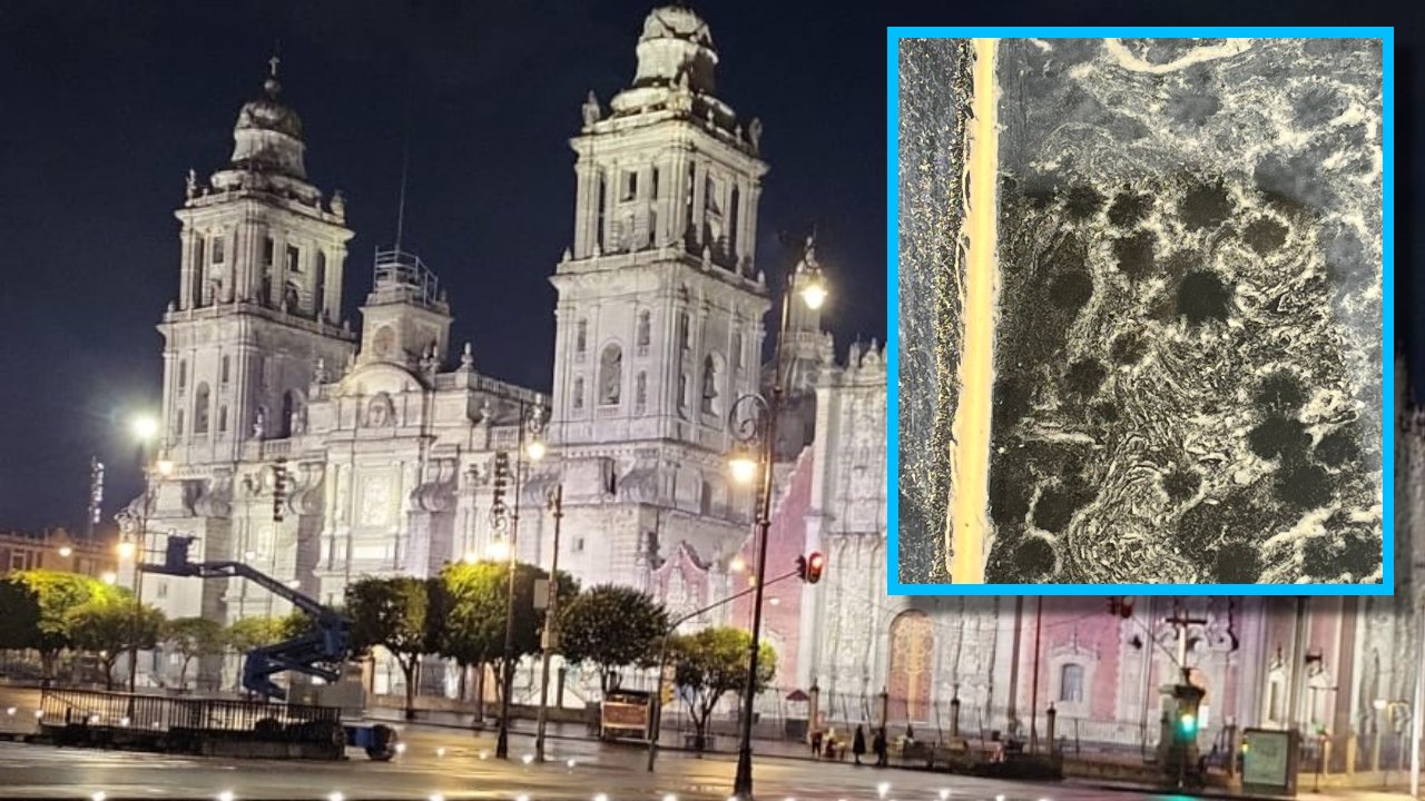 manchas amarillas de lluvia