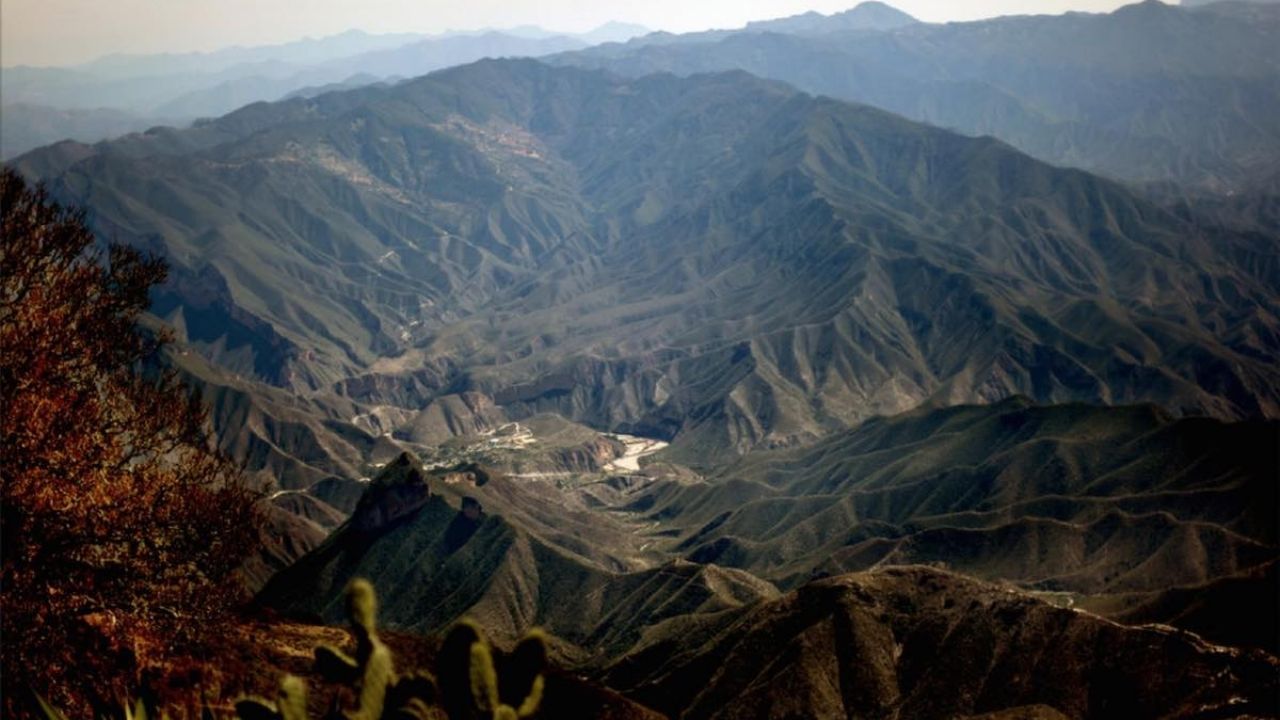 Bosques cerca de CDMX