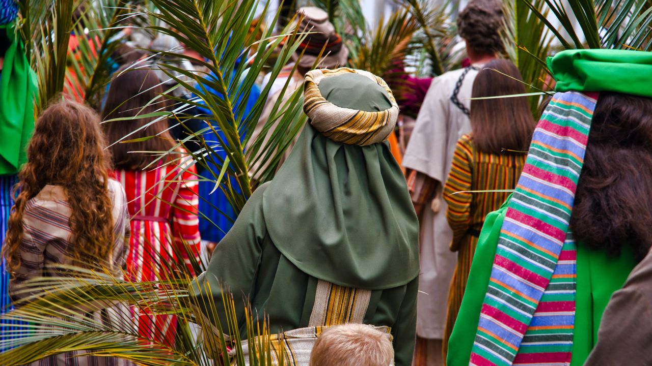 Significado de la palma del Domingo de Ramos