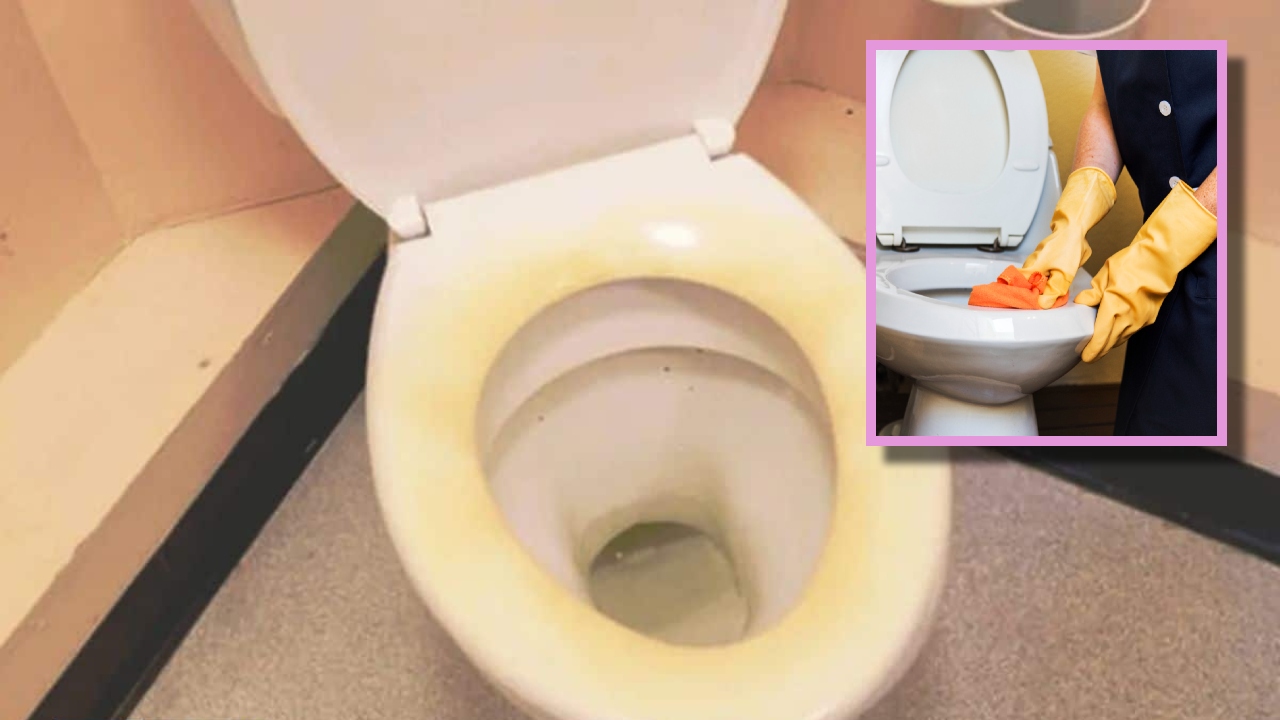 deshacerte de las manchas del asiento del baño