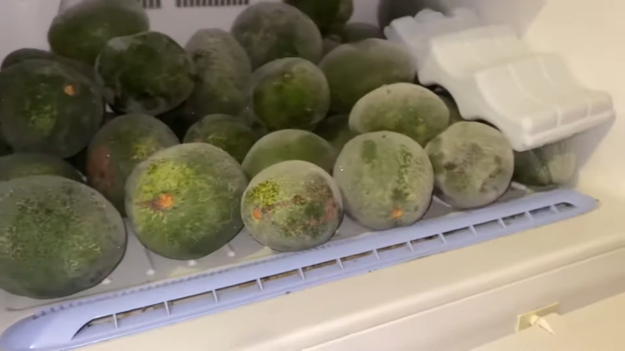 No debes meter los aguacates al congelador