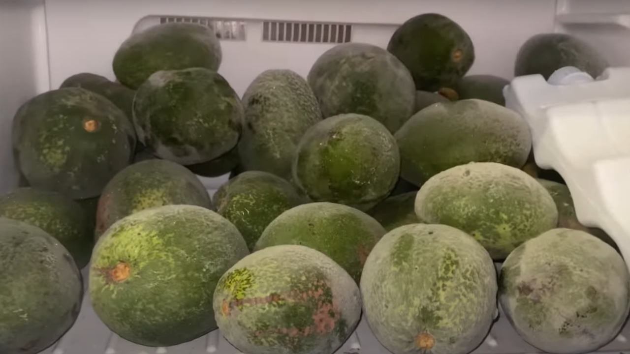 NUNCA debes congelar los aguacates