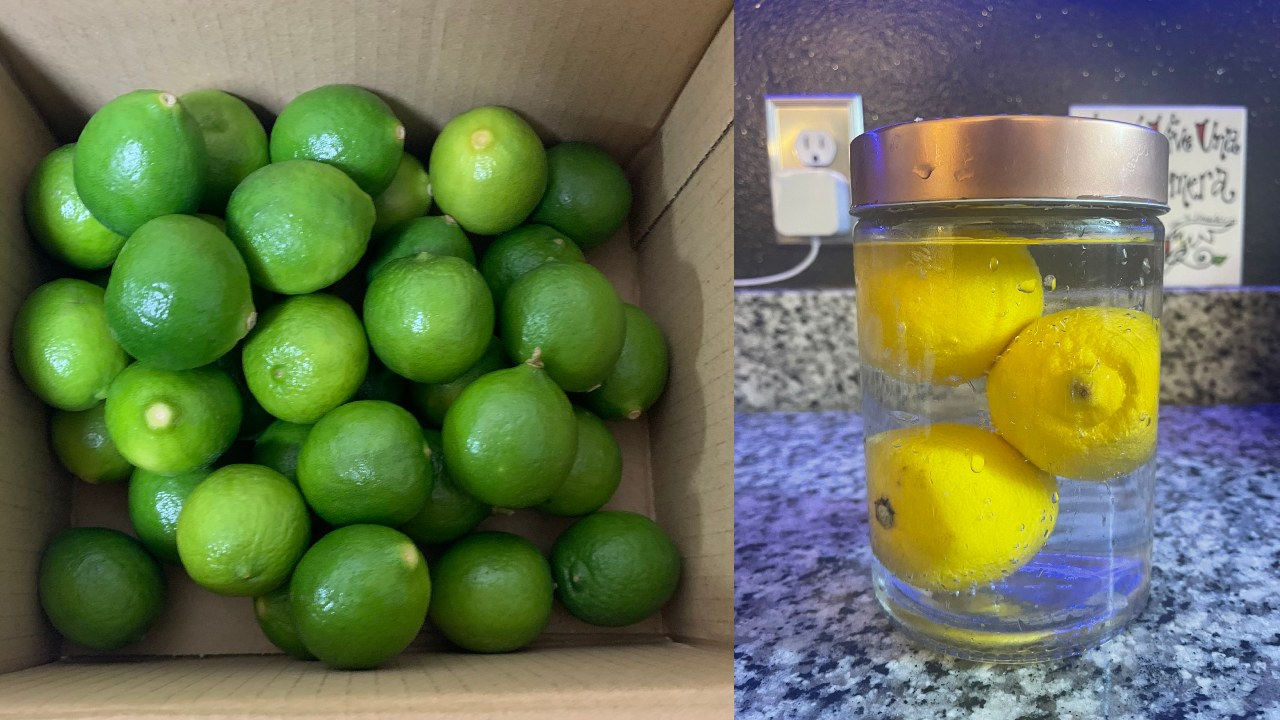 Limones en agua