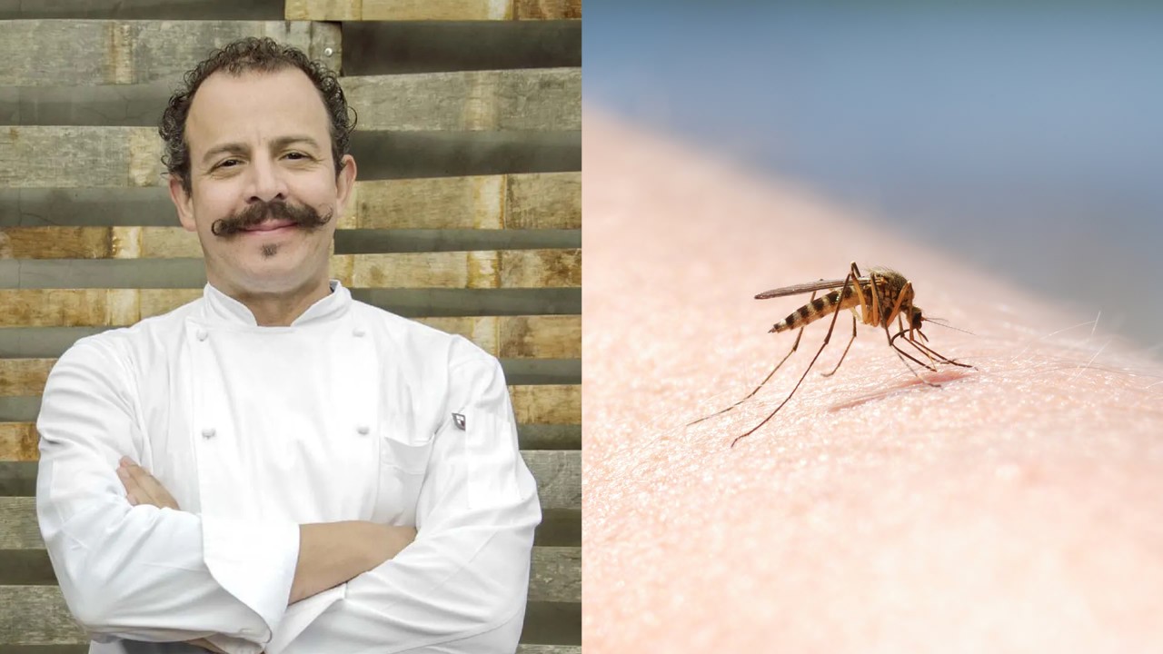 Deshacerte de los zancudos