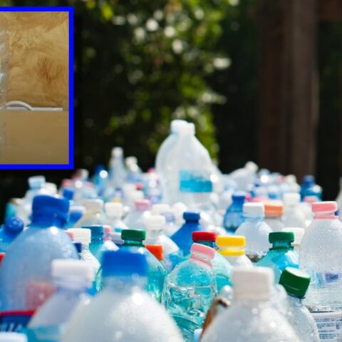 hacer un deshumidificador casero