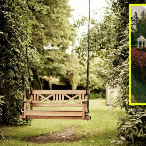 mejorar el jardín con poco dinero