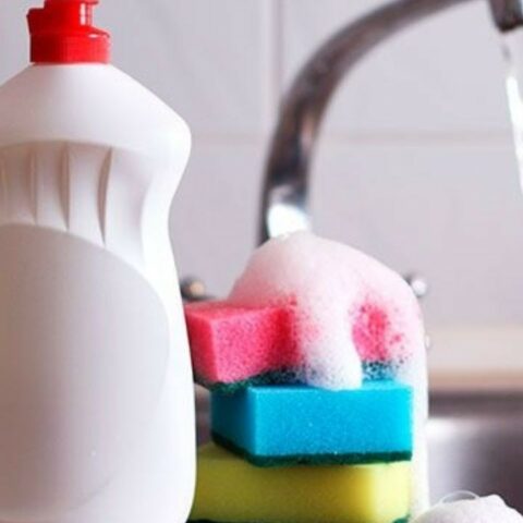 Ingredientes del jabón para trastes