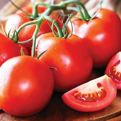 Conservar jitomates de la mejor forma